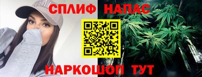 сатива Заводоуковск