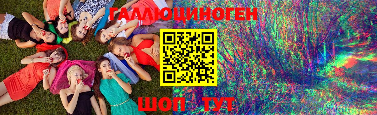 Псилоцибиновые грибы Cubensis Михайловск