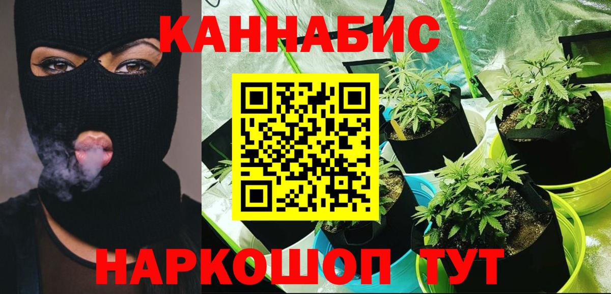 Михайловск  Бошки Шишки ГИДРОПОН  Бошки марихуана сатива  Вход с VPN 